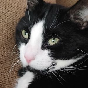 Meet your Posher, Kris